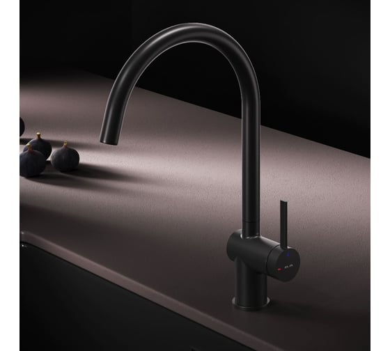 Смеситель для кухни AM.PM Func с С-изливом, черный F8F07022 1