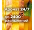 Сменный баллон Automatic GLADE LTO Citrus On my Mind, 269мл/6 GLADE 865055 4