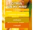 Основной блок Automatic GLADE LTO Citrus On my Mind, 269мл/4 GLADE 865057 2