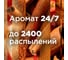 Сменный баллон GLADE Automatic LTO Apple of My Pie, 269мл/6 865054 4