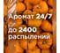 Сменный баллон GLADE Automatic LTO Pumpkin Of my Latte, 269мл/6 865053 4