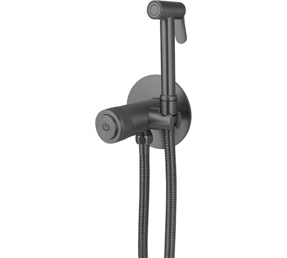 Смеситель с гигиеническим душем ALLEN BRAU 5.33005-MG LIBERTY Латунь, Push key, графит браш (345496) 00345496 1