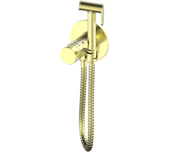 Термостатический смеситель GERHANS с гигиеническим душем K15382Y 1