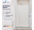 Душевая дверь RGW 110-120x195 PA-008 Хром/Матовое/6 мм (Easy) 350800812-21 3