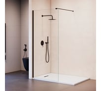 Душевая перегородка RGW 90x195  WA-210-B Чёрный/Прозрачное/8 мм 351021009-14