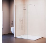 Душевая перегородка RGW 100x195  WA-210 Хром/Прозрачное/8 мм 351021010-11