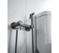 Смеситель для биде ALOUTE с гигиеническим душем, титан AH505Y