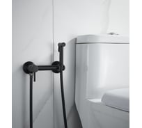 Смеситель для биде ALOUTE с гигиеническим душем черный матовый, латунь AH505H