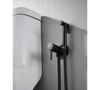 Смеситель для биде ALOUTE с гигиеническим душем черный матовый, керамический картридж AH345H