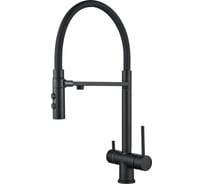 Смеситель для кухни ALOUTE с гибким изливом на магните и дополнительным выводом под фильтр, черный A61213H-2