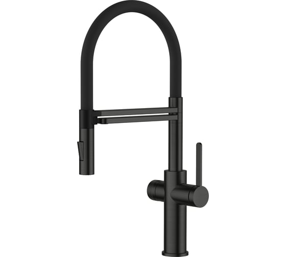 Смеситель для кухни Agger Elegant однорычажный с каналом для питьевой воды и гибким изливом, черный матовый A3252544 1
