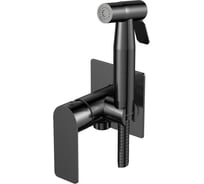 Смеситель скрытого монтажа с гигиеническим душем ESKO, Екатеринбург/Ekaterinburg Gun Metal, графит, EKSMHGM