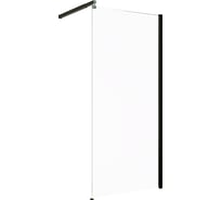 Душевая перегородка Alex Baitler AB2990B1