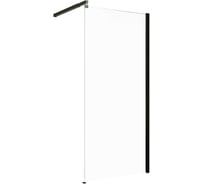 Душевая перегородка Alex Baitler AB29100B1