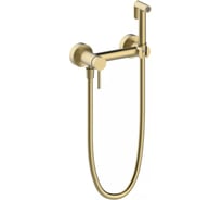 Смеситель настенный ViEiR с гигиеническим душем матовое золото комплект скрытый V462552-S