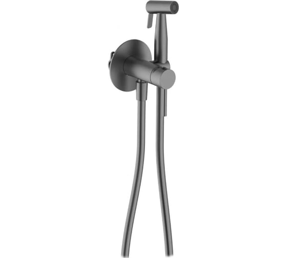 Смеситель встраиваемый ViEiR с гигиеническим душем графит нержавеющая сталь скрытый монтаж V462551-G 1