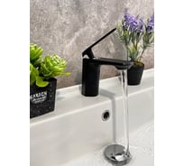 Смеситель для раковины однорычажный ViEiR, черный/хром V332511C