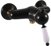 Смеситель для душа RavSlezak Labe L581.5CMATZ