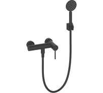 Смеситель для душа однорычажный ViEiR нержавеющая сталь, черный, сатин V463530-C