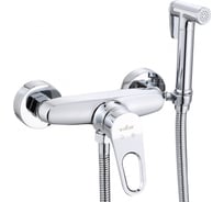 Смеситель с гигиеническим душем для биде и унитаза ViEiR настенный, однорычажный, латунь, хром V023552