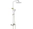 Душевая система ViEiR с верхним душем и ручной лейкой, белый/золото V293562-FE 1