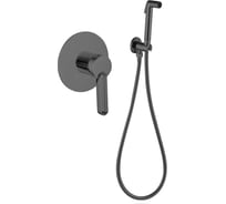 Комплект скрытого монтажа для биде ViEiR круглый латунь графит для гигиенического душа V083553-G