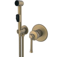 Комплект скрытого монтажа для биде ViEiR круглый латунь бронза гигиенический душ V273553-D