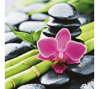 Шторка в ванную комнату Brimix фотопечать, БАМБУК с ЦВЕТКОМ 02-19