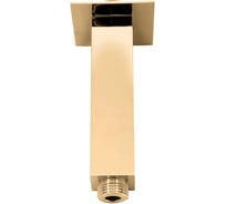 Держатель для душевой RavSlezak MD0372Z