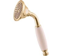 Душевая лейка RavSlezak KS0017Z