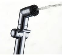 Лейка для гигиенического душа GAPPO G36