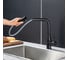 Смеситель для кухни с выдвижной лейкой FRAP F6096-6 3