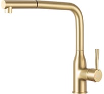 Смеситель для кухни с выдвижной лейкой FRAP F6096-3