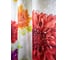 Комплект: штора для ванной и кольца Bath Plus akch-21268 8
