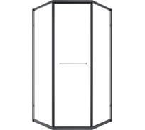 Душевой угол Timo TTSS-100/03C-8R, раздвиж 1000_1000_2000, проф черный, стекло проз 8 мм T35R