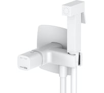 Встраиваемый смеситель для душа с гигиенической лейкой WasserKRAFT Saale 9538