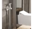 Смеситель с гигиеническим душем WasserKraft Зале (Saale) 9538 5