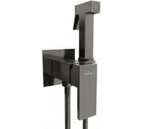 Смеситель с гигиенической лейкой MIXLINE 25k ML31-082GR Ray встраиваемый ГРАФИТ 556671