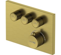 Смеситель термостатический для ванны и душа WasserKRAFT Aisch 5558 Thermo