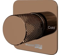 Смеситель для душа WasserKRAFT Paar 8851