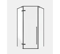 Душевой угол Timo TTSSP-100/03C-8, распашной, 1000×1000×2000 мм, профиль черный, стекло прозрачное 8 мм T71