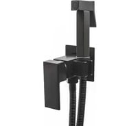 Встраиваемый смеситель c гигиеническим душем RUSH Thira TR3635-99Black