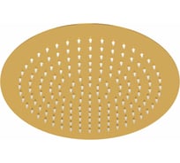 Верхняя душевая насадка WasserKRAFT A263