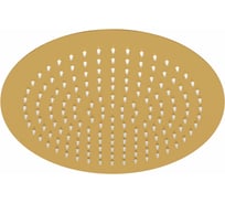 Верхняя душевая насадка WasserKRAFT A262