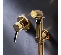 Гигиенический набор для скрытого монтажа AM.PM X-Joy S со смесителем для душа, золото F40H85B99