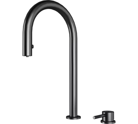 Смеситель для кухни Paulmark ESTETICA Starke, вороненая сталь Es218006-GM 1