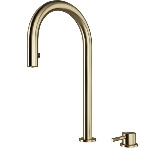 Смеситель для кухни Paulmark ESTETICA Starke светлое золото Es218006-LG 1