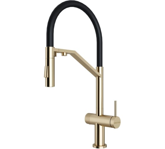 Смеситель для кухни Paulmark ZENDER, светлое золото Ze213155-LG 1