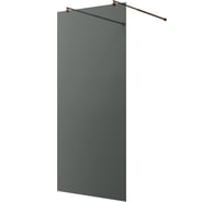 Душевая перегородка WasserKRAFT Vechte 60W40RG-TG