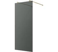 Душевая перегородка WasserKRAFT Vechte 60W40PG-TG